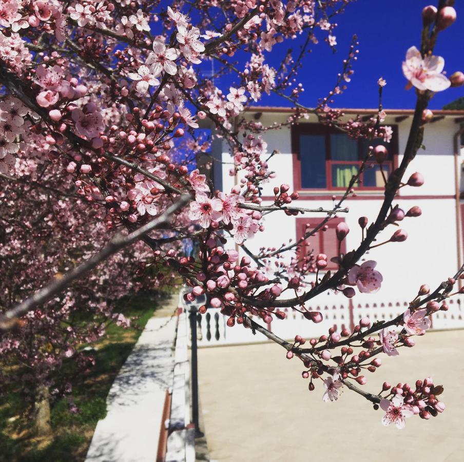 Il Profumo Della Natura B&B Oriolo Romano エクステリア 写真